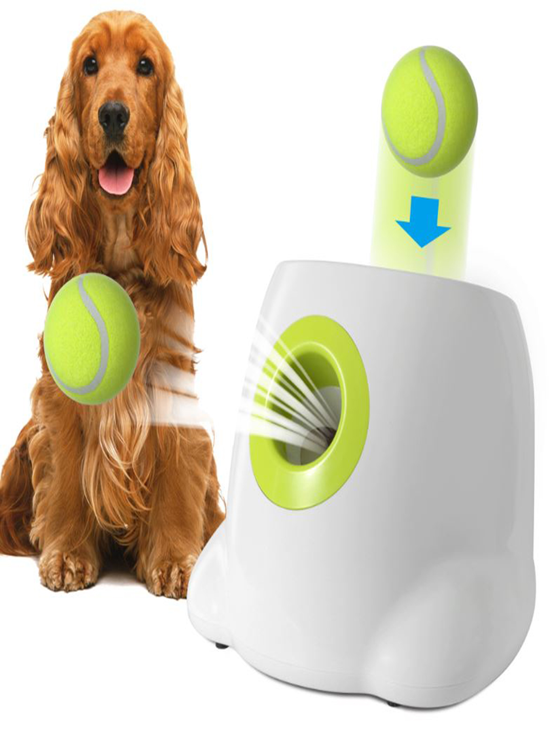 Dog  Automatic Tennis ball Launcher
